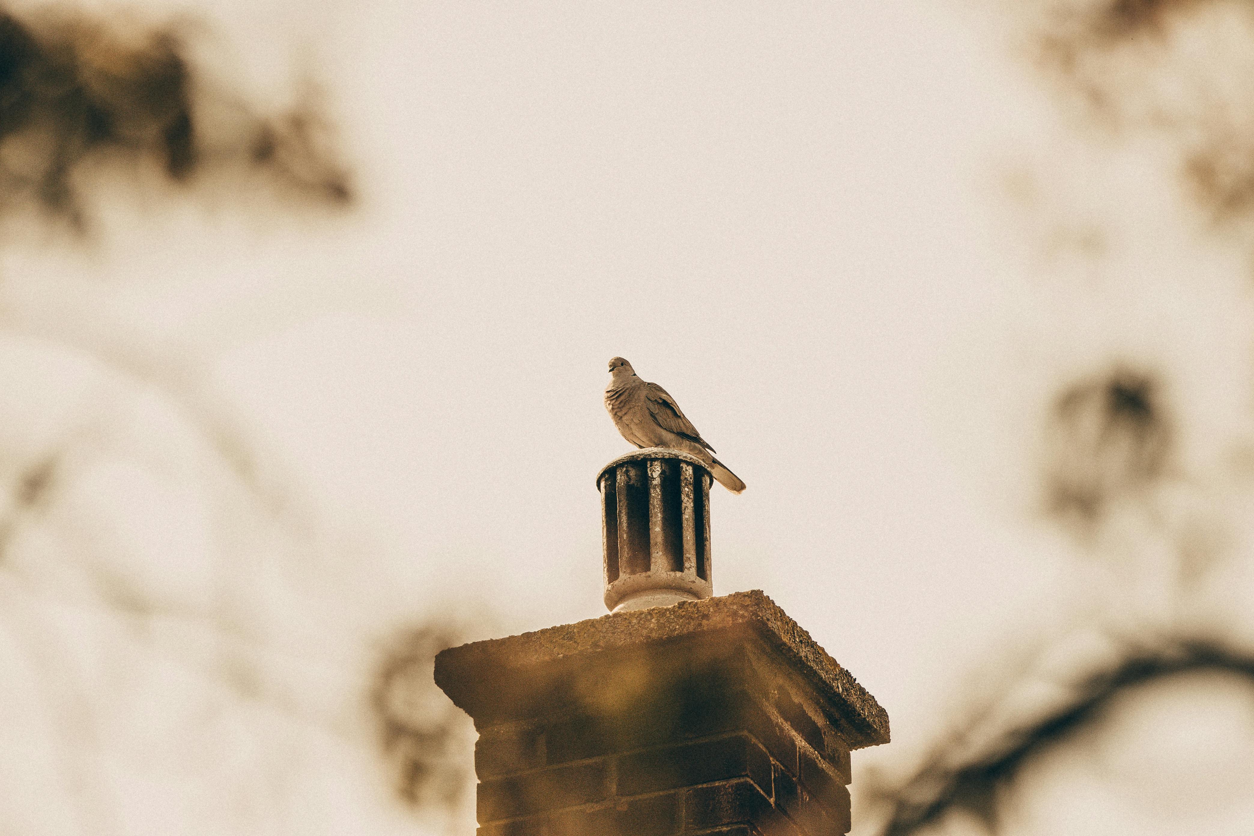 Expert Chimney Cap Installation in West Palm Beach, Florida